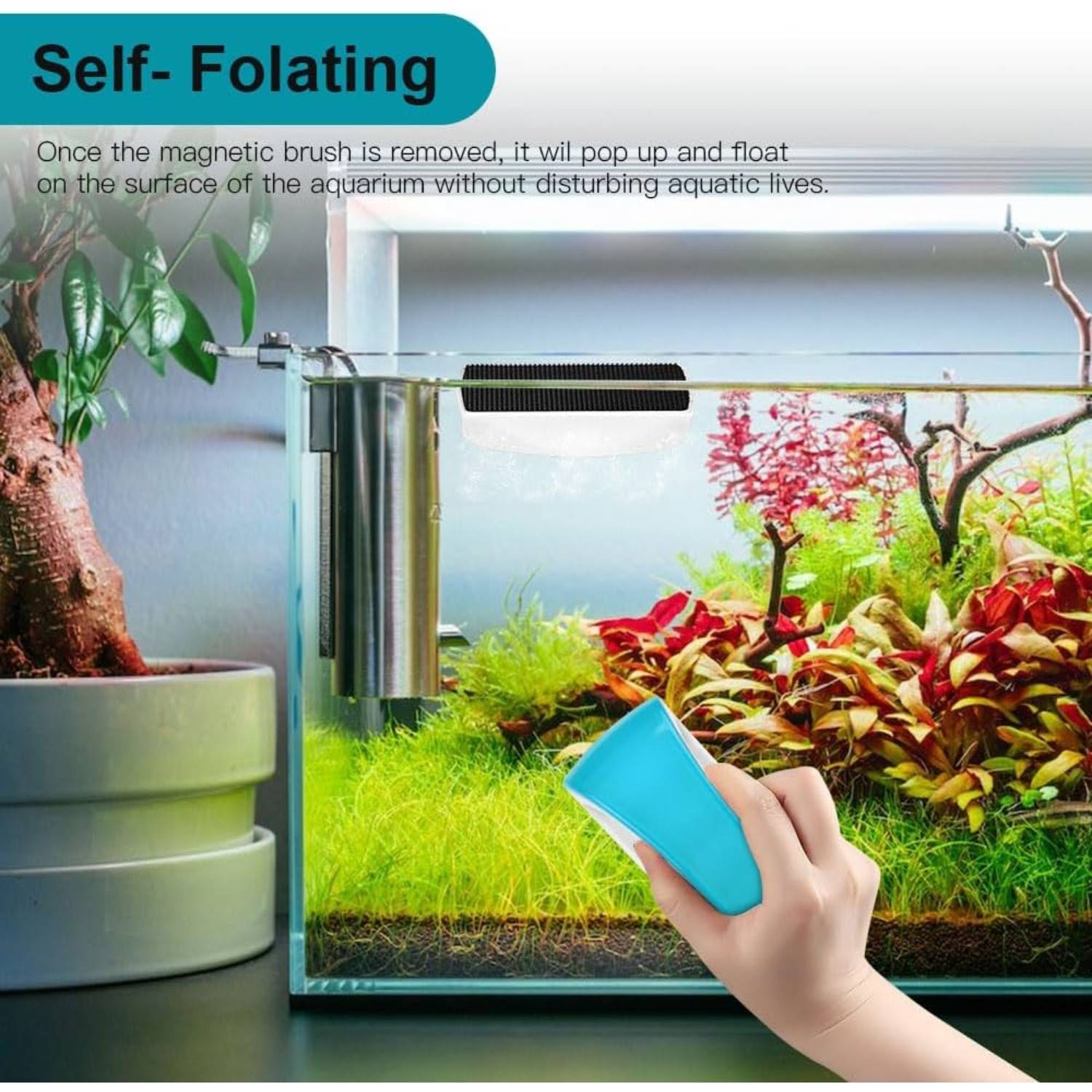 DtopbuyAge - Brosse magnétique nettoyage - Aquarium et verre DtopbuyAge - Image 4