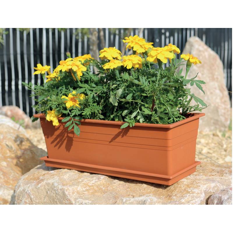 Riviera - Plateau pour jardinière 50 cm - 45,5 x 16 x 3,1 cm - Terre cuite - Fabrication Française - Image 3