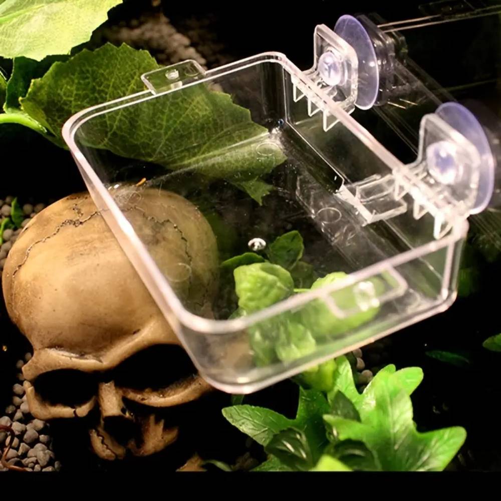 Plat pour reptiles - IntiMeg - Image 3