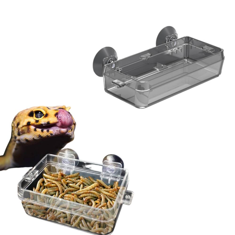 Plat pour reptiles - IntiMeg - Image 1