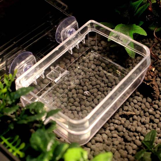 Plat pour reptiles - IntiMeg - Image 4