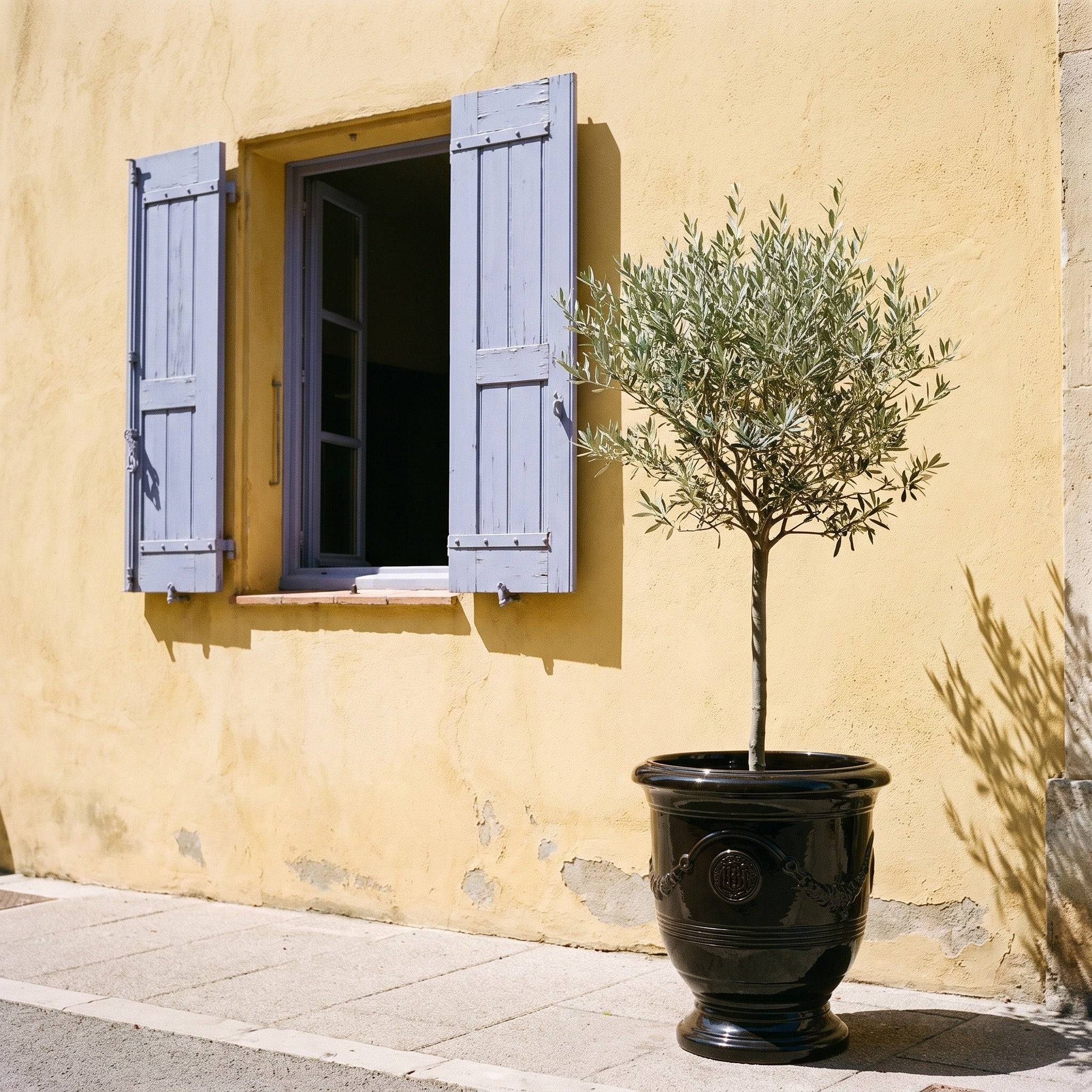 Provencelia - Pot RICHELIEU 46x56cm noir - Image 5