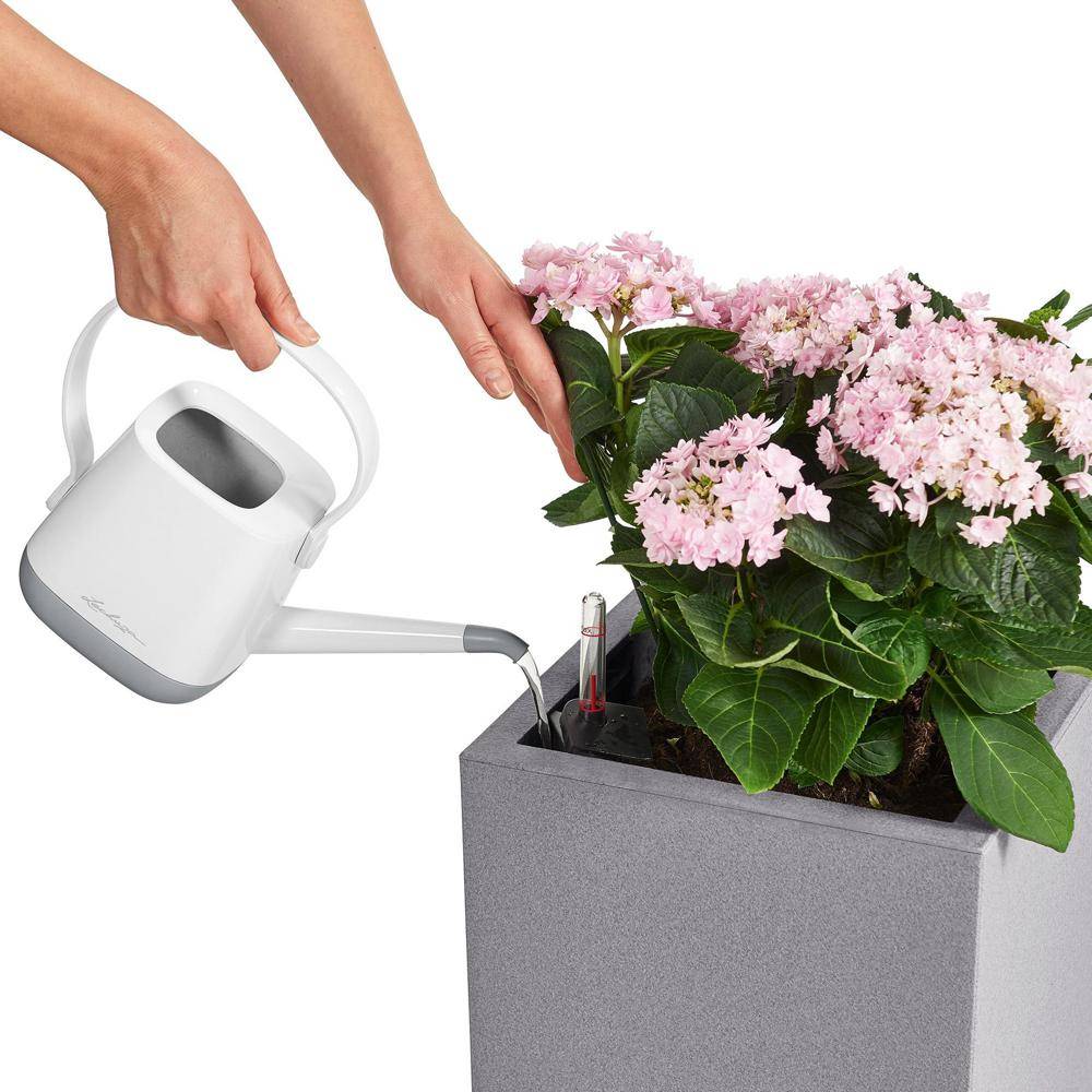 Lechuza - Pot Canto Color 56, gris pierre 3 L  56 cm Lechuza - Image 9