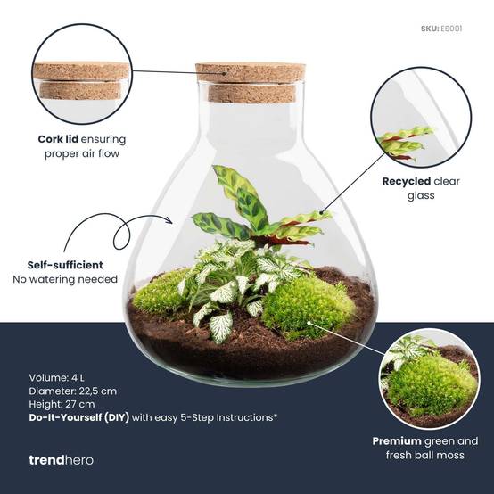 Diy Terrarium - D22 H27cm - Image 2