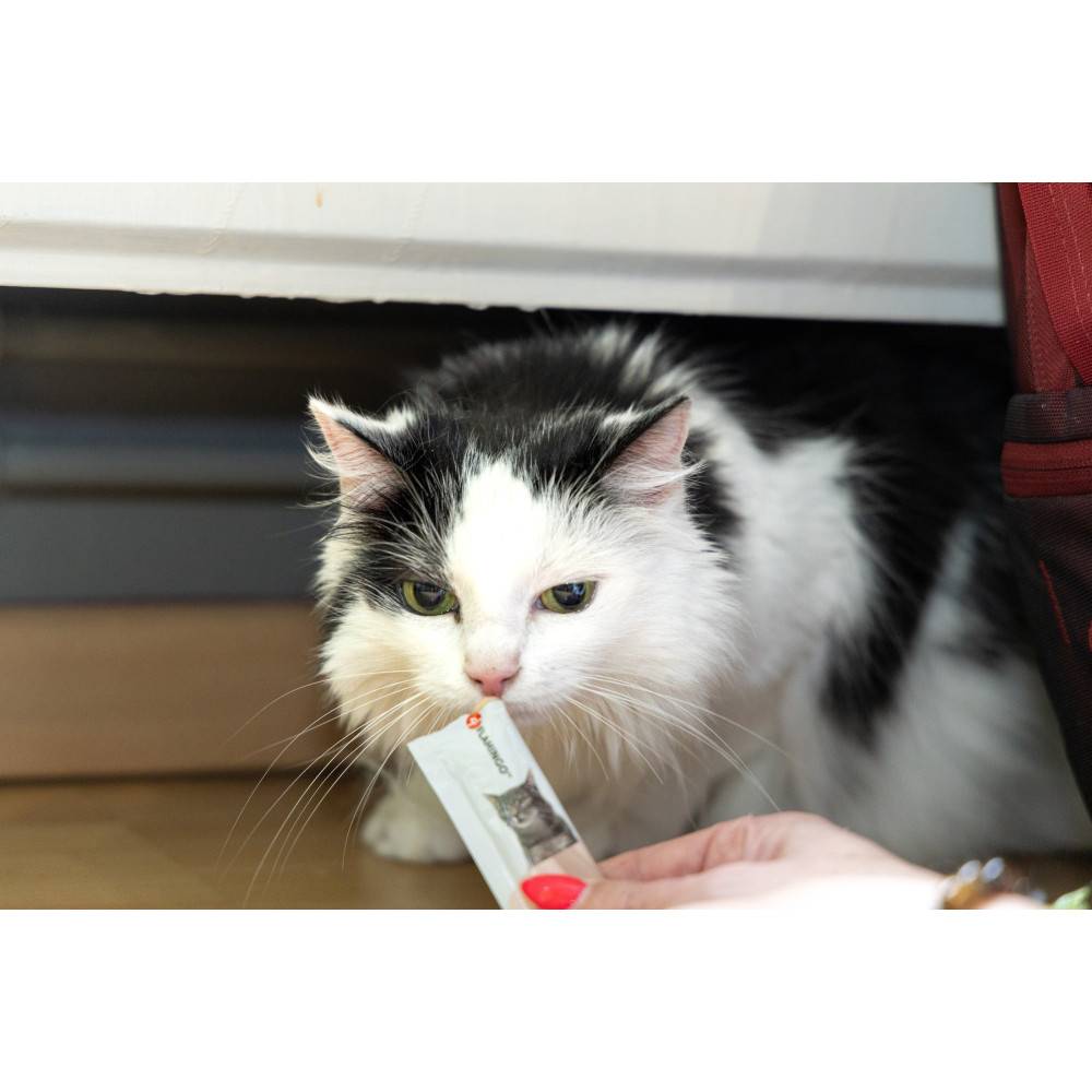 Friandises 5 sticks de 14 g, gout poulet pour chat - Image 3