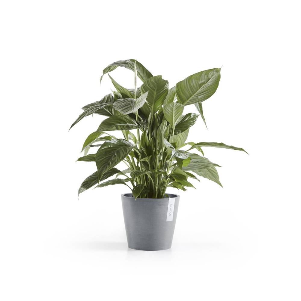 Ecopots - Pot Rond Amsterdam 20 Bleu Gris - Ø 20 x H. 17,5 cm - 4 L ECOPOTS - Image 1