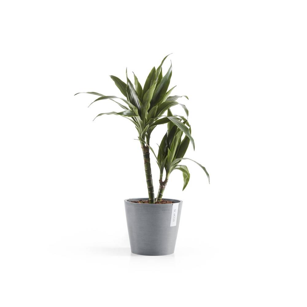 Ecopots - Pot Rond Amsterdam 20 Bleu Gris - Ø 20 x H. 17,5 cm - 4 L ECOPOTS - Image 2