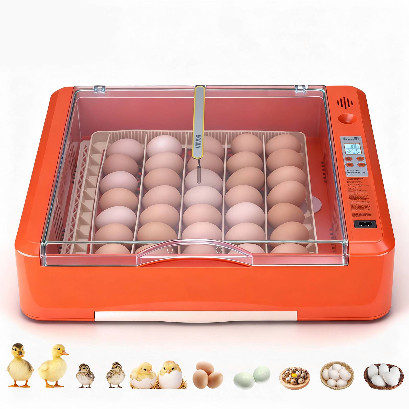 Vevor - VEVOR Couveuse Œuf Automatique Incubateur 36 Œufs pour Éclosion Œufs Poussins - Image 1