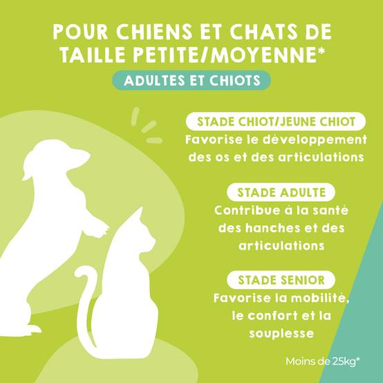 Complément Anti Arthrose pour Chat et Chien de Petite et Moyenne Taille - 120 Comprimés - MAIKAI - Image 2