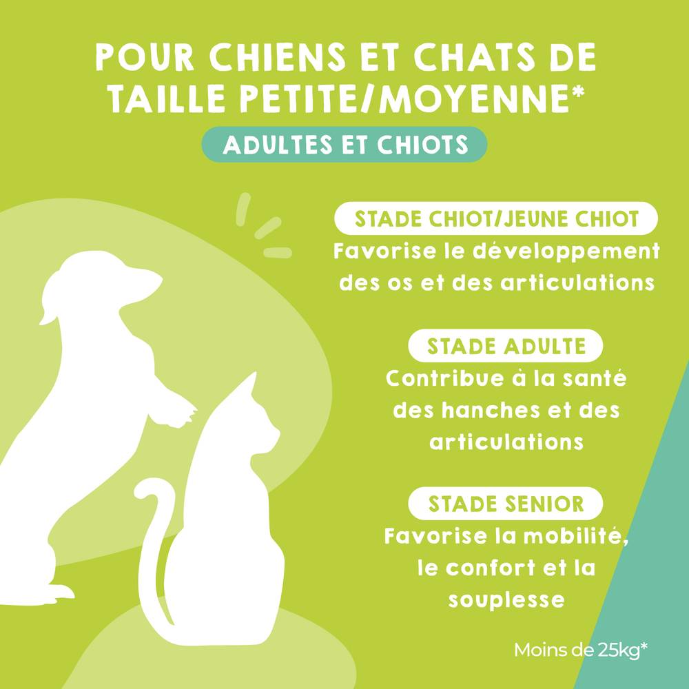 Complément Anti Arthrose pour Chat et Chien de Petite et Moyenne Taille - 120 Comprimés - MAIKAI - Image 2