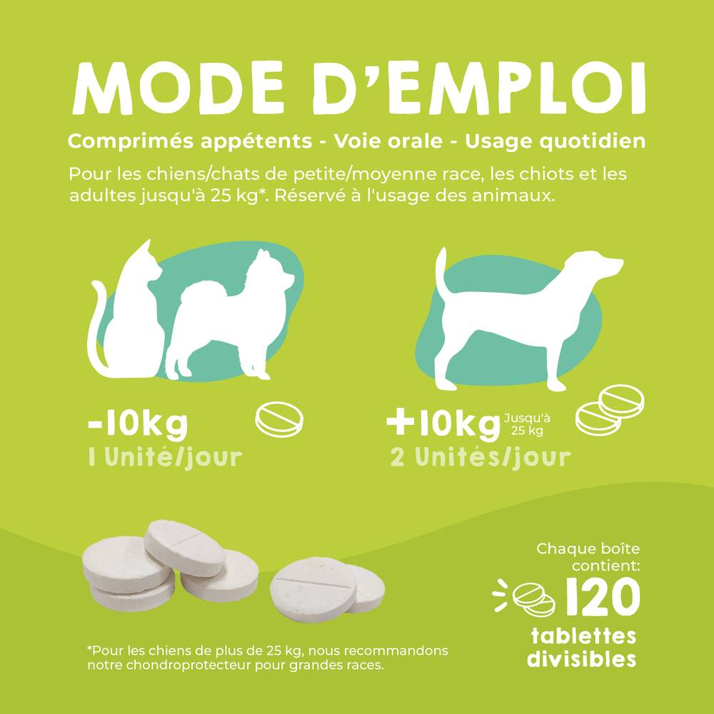 Complément Anti Arthrose pour Chat et Chien de Petite et Moyenne Taille - 120 Comprimés - MAIKAI - Image 5
