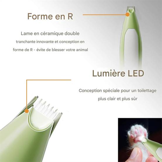Tondeuse à pattes pour chien DtopbuyAge - Image 2