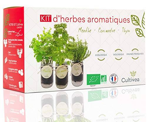 Kit Prêt à Pousser d’Herbes Aromatiques -  Jardin Potager d’intérieur (Menthe, Coriandre, Thym) - CULTIVEA® - Image 1