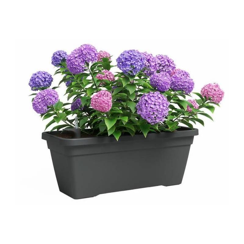 Jardiniere - Plastique - Anthracite - Rectangulaire - L57,9 X P24,3 X H22cm - Artevasi - Image 2