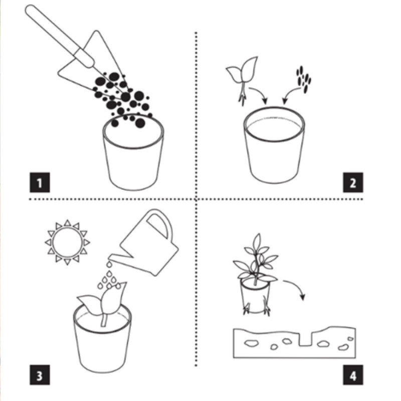 Esschert Design - Pot biodégradable pour semis par lot de 18 - Esschert Design - Image 3