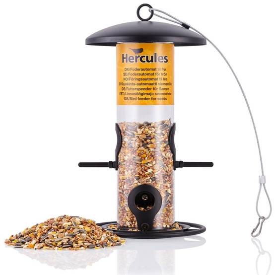 Grande Station D'alimentation Pour Oiseaux - Oiseau Grande Station D'alimentation Pour Oiseaux - Oiseau