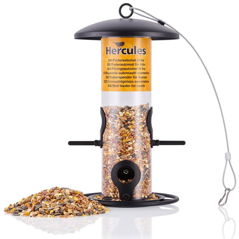 Grande Station D'alimentation Pour Oiseaux - Oiseau