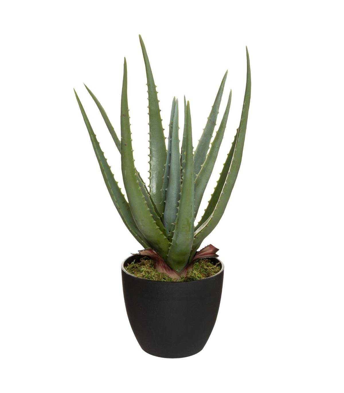 Plante artificielle Aloe Vera en pot H 42 cm - Image 1
