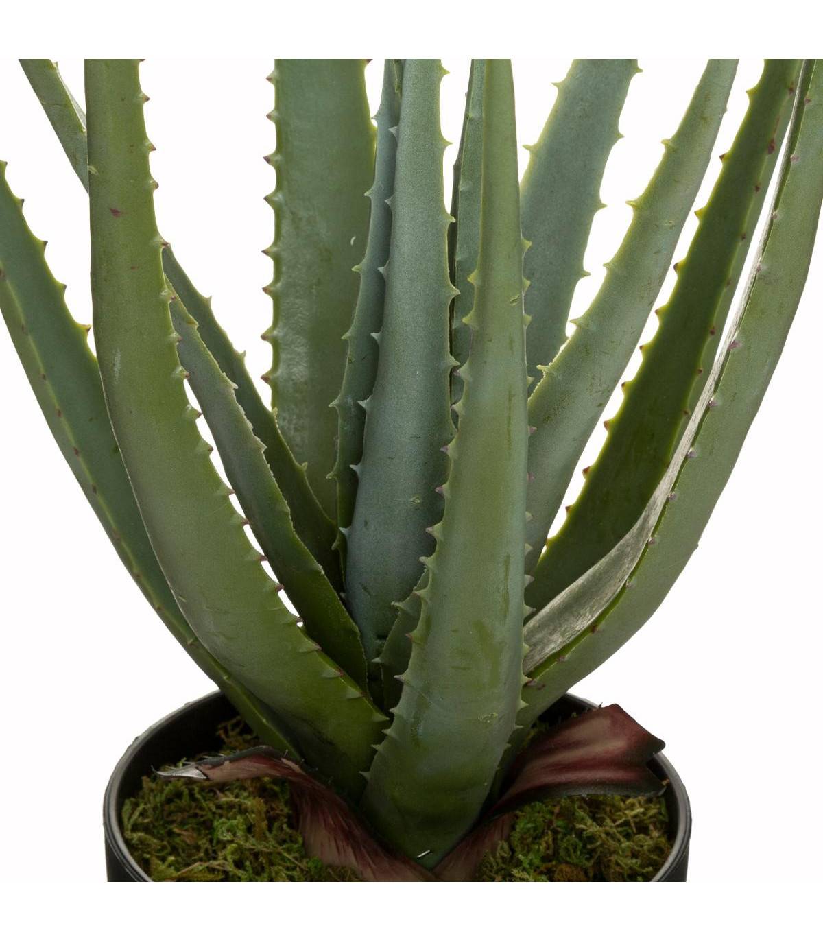 Plante artificielle Aloe Vera en pot H 42 cm - Image 2
