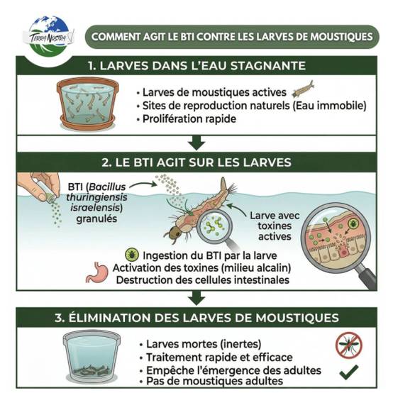 Terra Nostra - Larvicide anti-moustiques - Pot de 500 g - Image 4