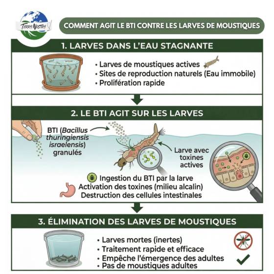 Terra Nostra - Larvicide anti-moustiques - Pot de 500 g - Image 4
