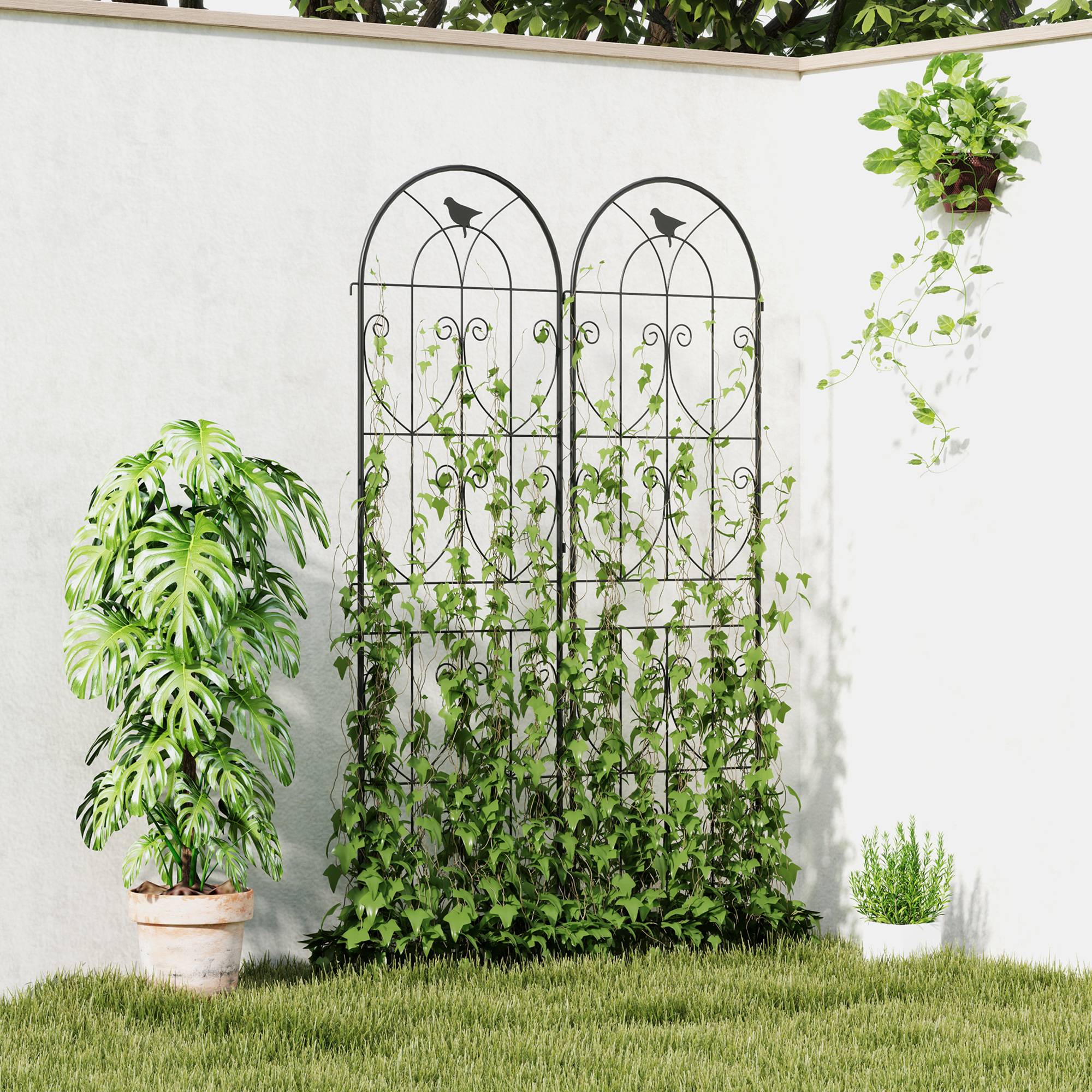 Lot 2 Treillis Jardin Métal Oiseaux Plantes Grimpantes Décoration Extérieure 50x180cm Noir - ComfortXL Outdoor Living - Image 4