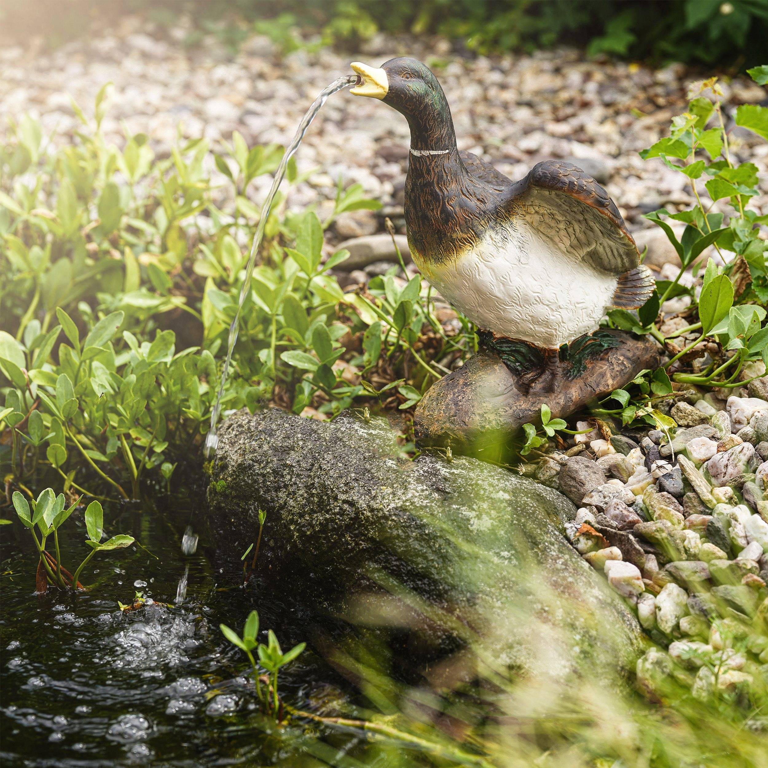 Figurine Solaire Canard Oscillant StarTec – Déco Rigolote Et Cadeau Surprise, Hauteur 10 Cm, Couleur Aléatoire