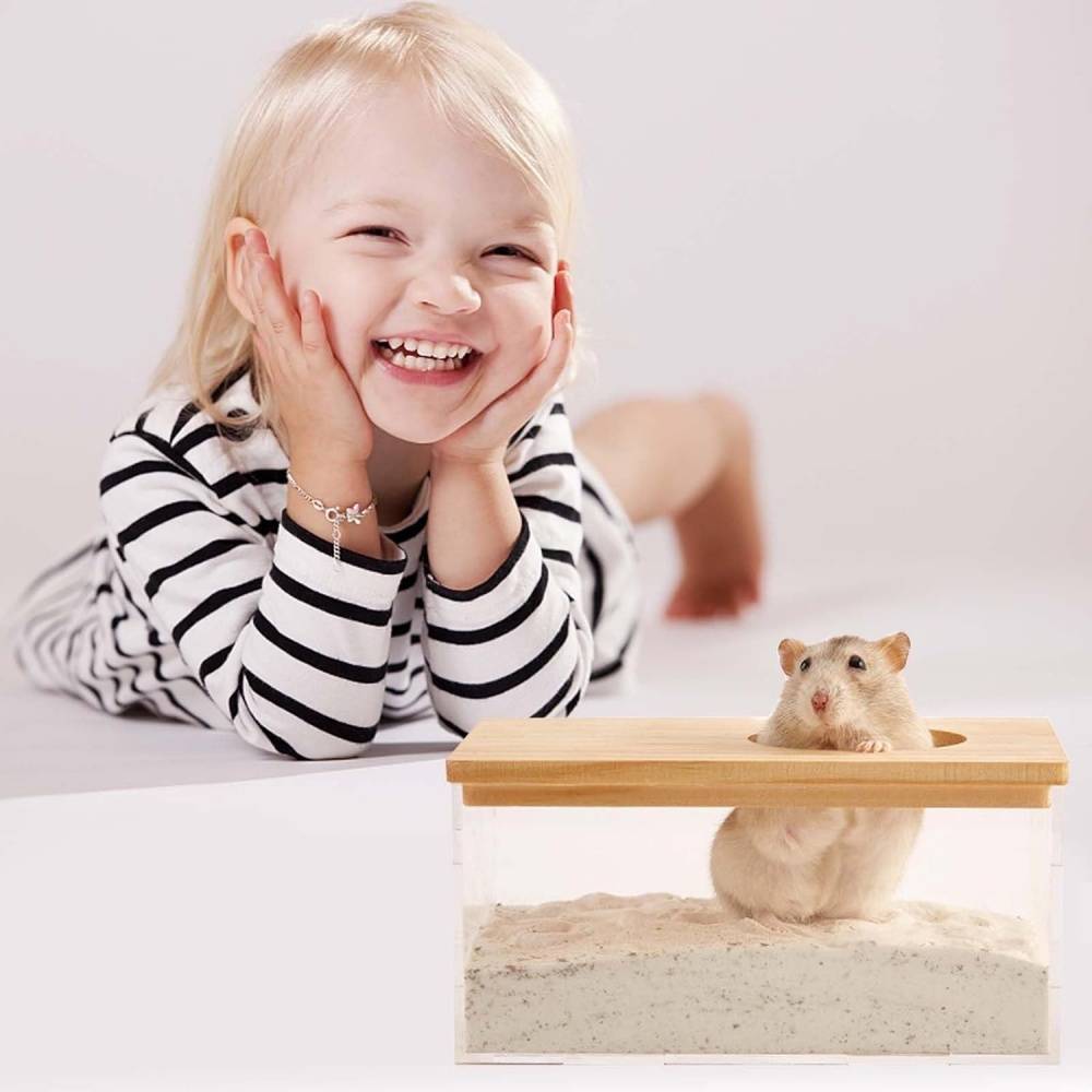 DtopbuyAge - Bain salle pour hamster DtopbuyAge - Image 4