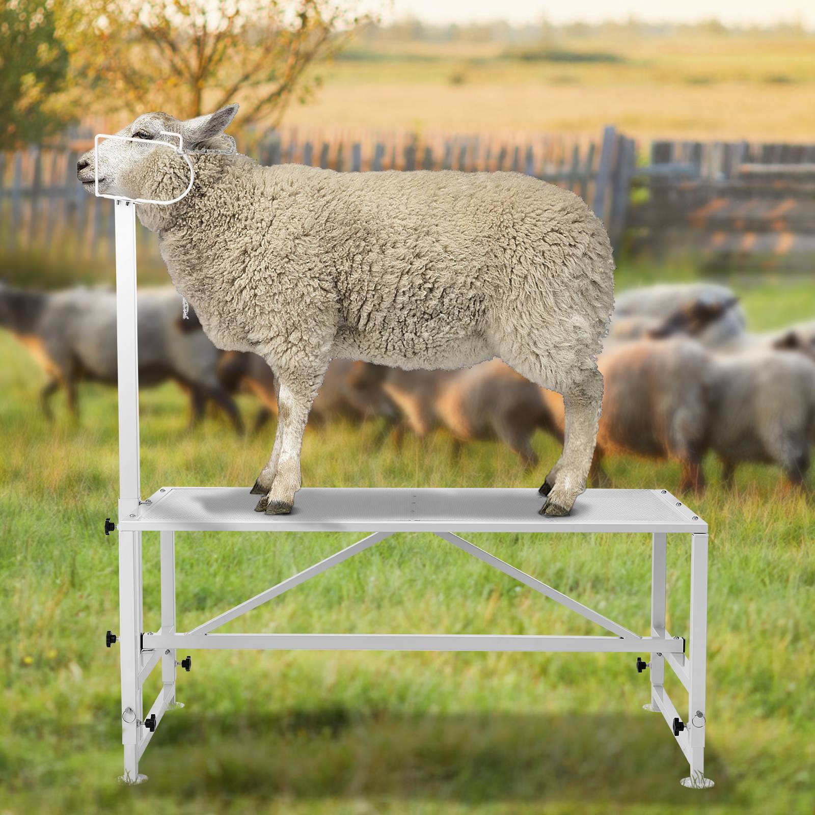 Vevor - Support bétail chèvres/moutons, 47x23 po, hauteur réglable, blanc. VEVOR - Image 8