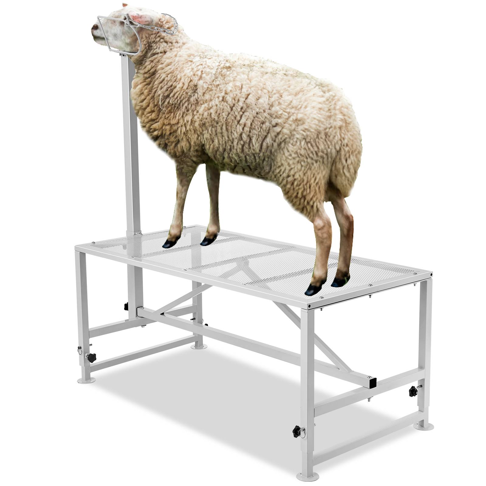 Vevor - Support bétail chèvres/moutons, 47x23 po, hauteur réglable, blanc. VEVOR - Image 1