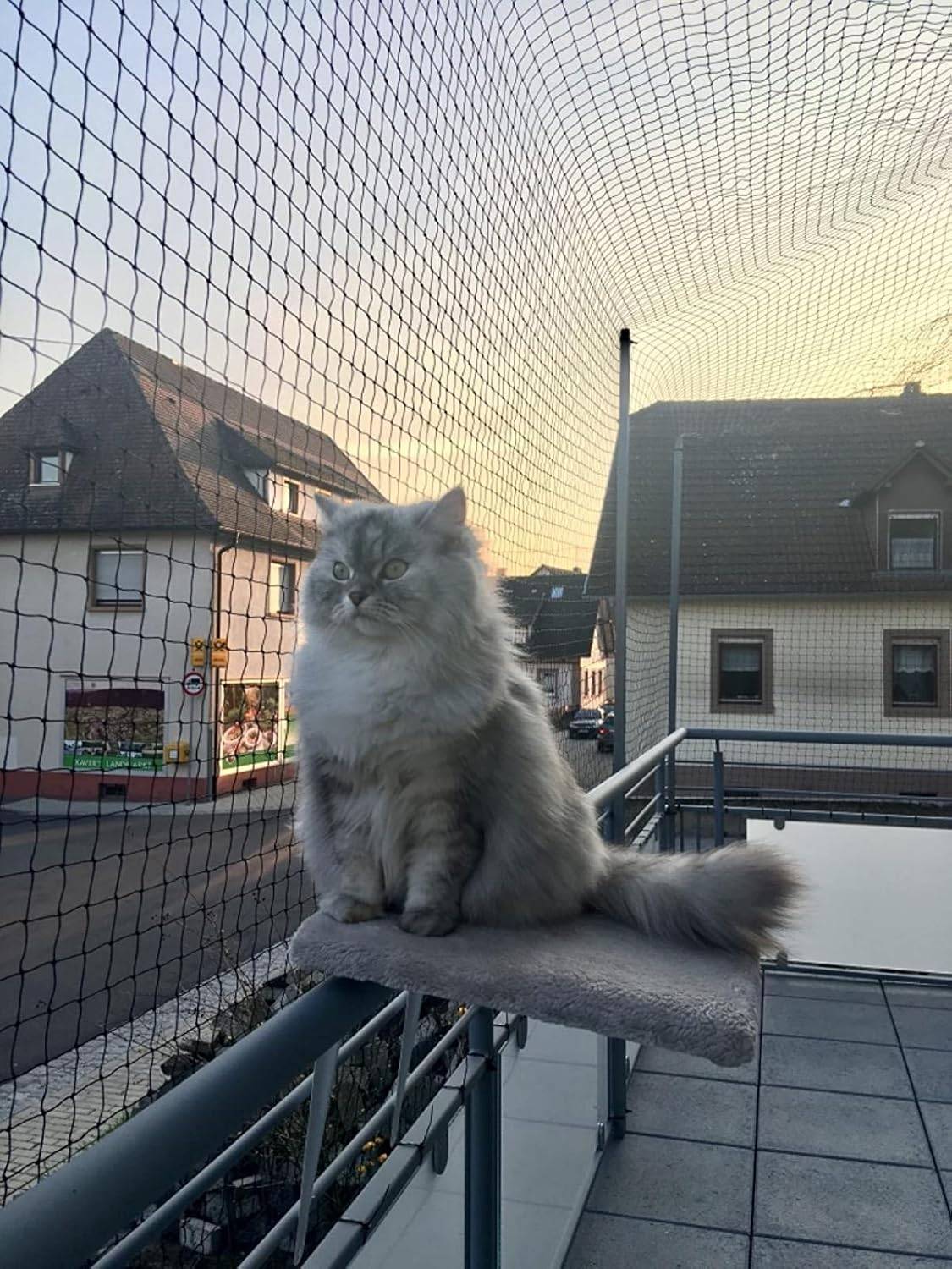 Filet de clôture anti-chute pour chat,filet de protection- 4x3m, Renforcé, Résistant aux Intempéries, Sécurise Balcon, Fenêtres et Terrasses-Lytech - Image 5