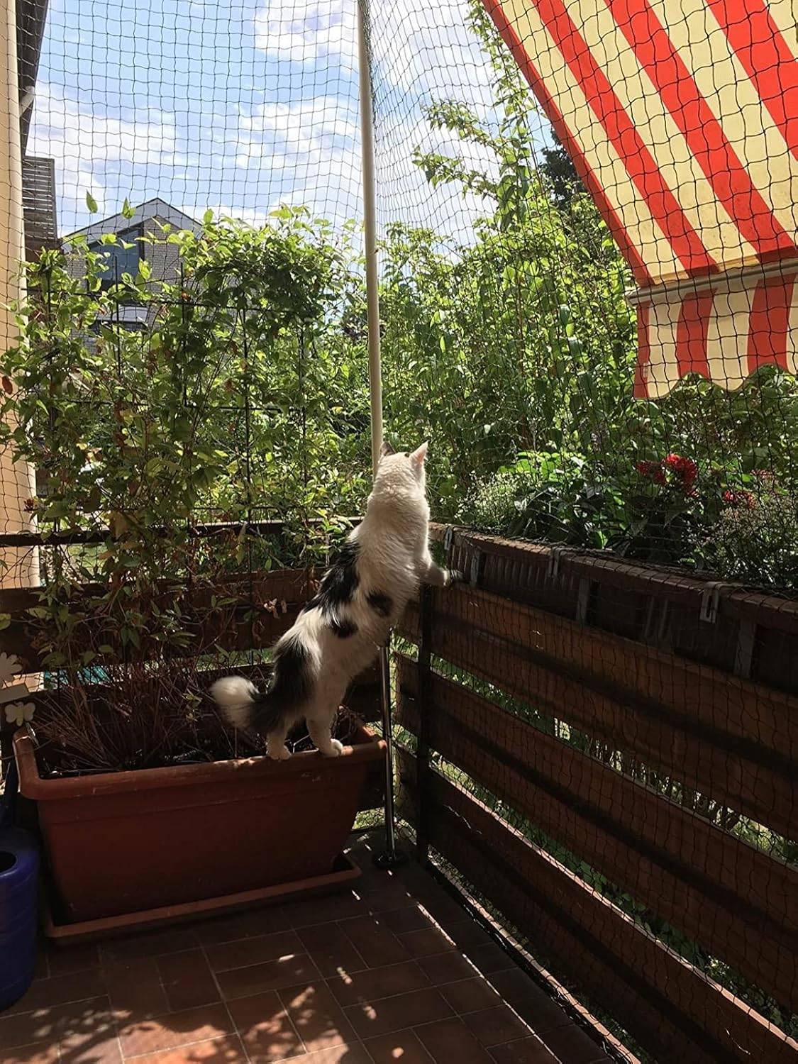 Filet de clôture anti-chute pour chat,filet de protection- 4x3m, Renforcé, Résistant aux Intempéries, Sécurise Balcon, Fenêtres et Terrasses-Lytech - Image 8