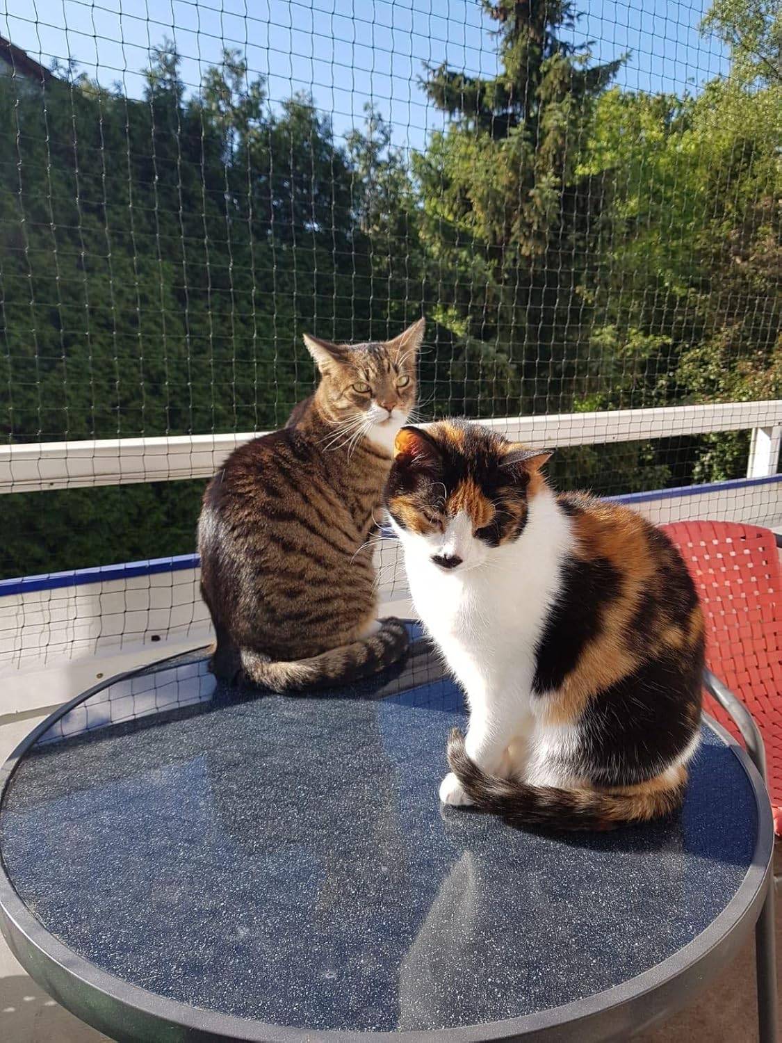Filet de clôture anti-chute pour chat,filet de protection- 4x3m, Renforcé, Résistant aux Intempéries, Sécurise Balcon, Fenêtres et Terrasses-Lytech - Image 4