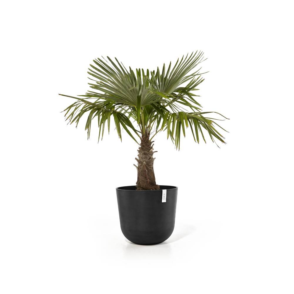 Ecopots - Pot Rond Oslo 55 Gris Foncé - Ø 55 x H. 47,9 cm - 85,6 L ECOPOTS - Image 2