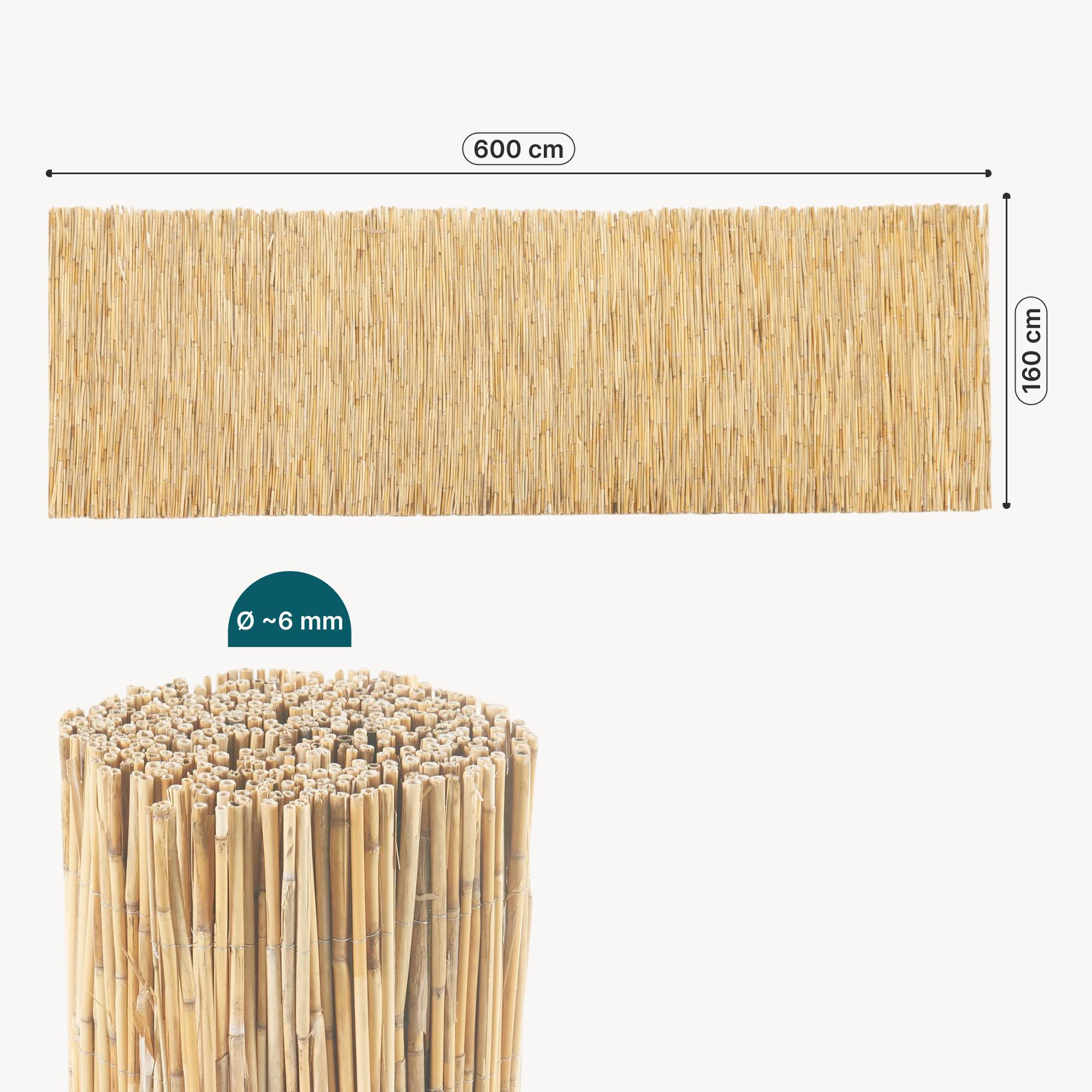 Casa.Pro - Canisse en roseau Abbateggio 160 x 600 cm naturel casa.pro - Image 3