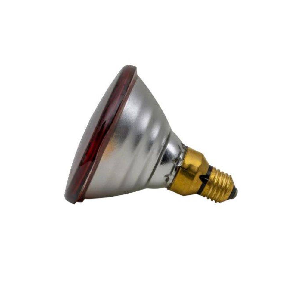 Ukal - Ampoule infrarouge PAR 100 W rouge UKAL - Image 3