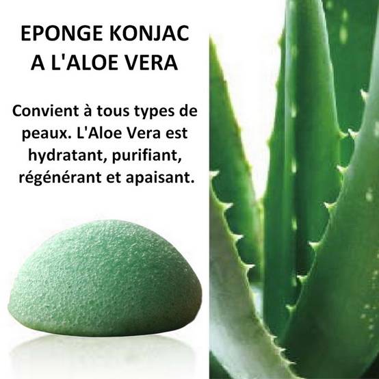 Sun&Sia - Éponge Konjac 100% Naturelle à l'Aloe Vera- Nettoie en Profondeur et en Douceur- Soin Visage Naturel- Tous Types de Peau - Image 1