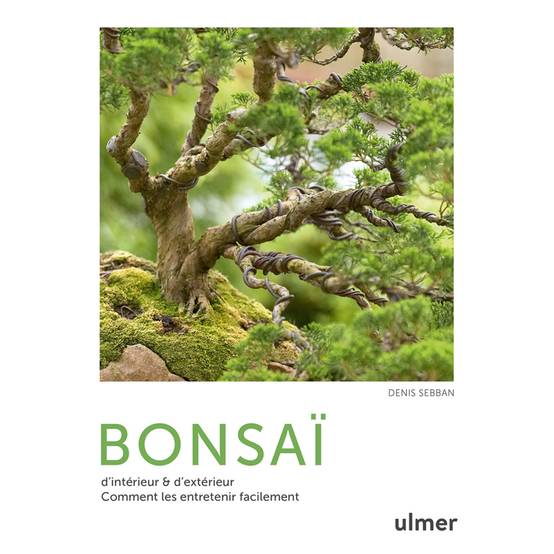 Bonsaï d'intérieur & d'extérieur - Comment les entretenir facilement