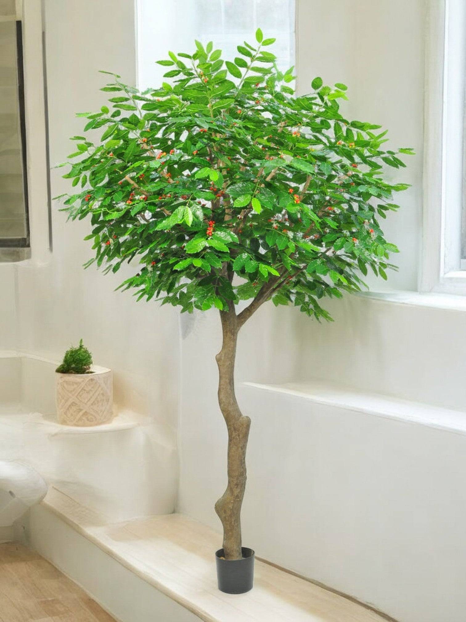 La Green Touch - Caféier fruitier - Arbre artificiel- La Green Touch - Image 1