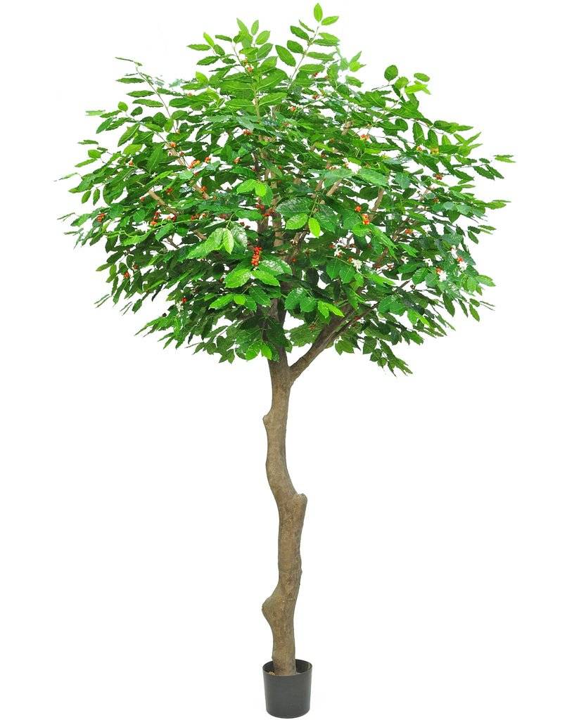 La Green Touch - Caféier fruitier - Arbre artificiel- La Green Touch - Image 2