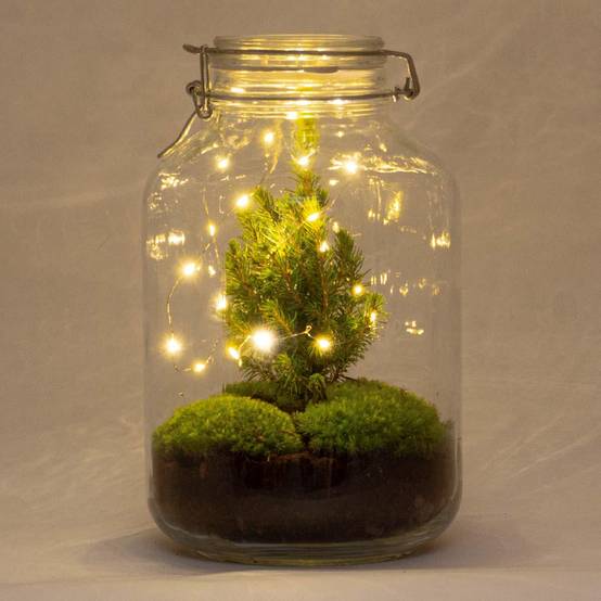 Terrarium à composer bocal en verre recyclé - Ø18-H28cm - sans outils - Terrarium DIY - Image 1
