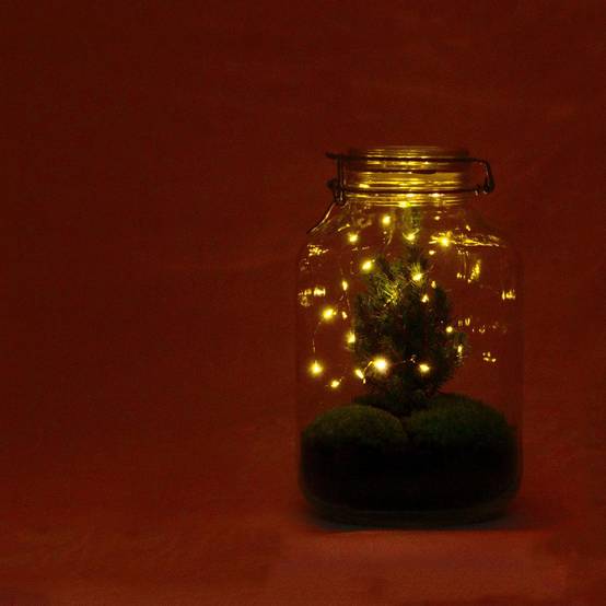 Terrarium à composer bocal en verre recyclé - Ø18-H28cm - sans outils - Terrarium DIY - Image 2