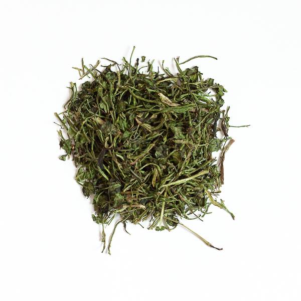 Coriandre - 150 g - L'Eden des Pattounes