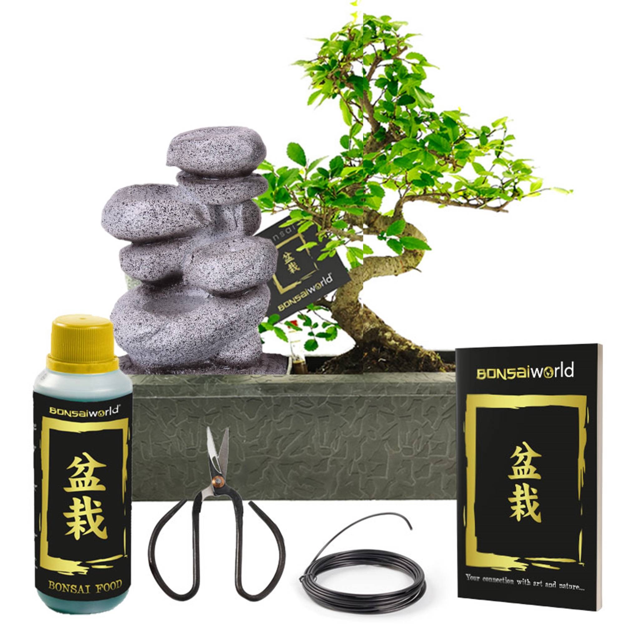 0 - Bonsaï Forme S - Cascade Zen - incl. Ciseaux et Aliment - Image 1