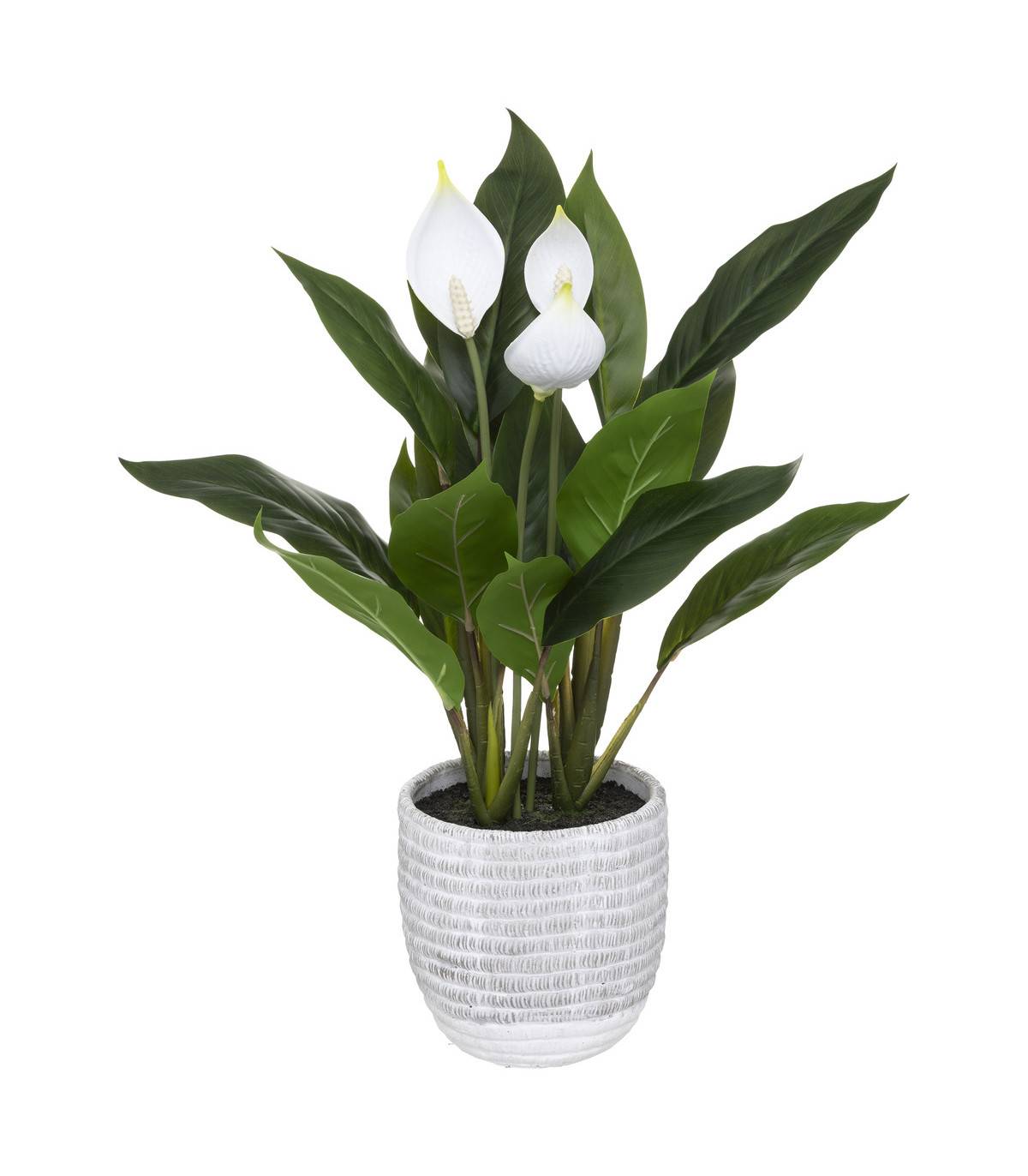 Plante artificielle Lys de la paix en pot H 54 cm - Image 1
