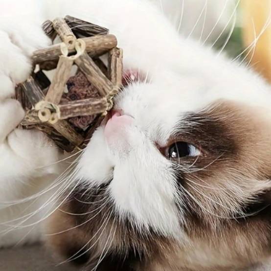 IntiMeg - Jouet pour chat avec clochette et balle Grand IntiMeg - Image 4