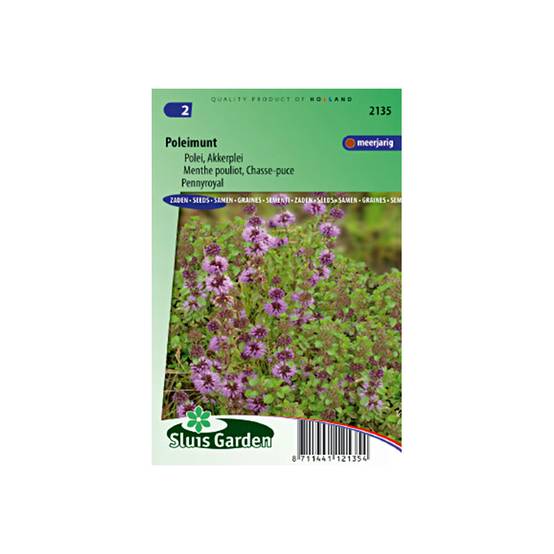 Menthe Pouliot (Graines) - Mentha pulegium le sachet de 1200 graines environ (0,1g)