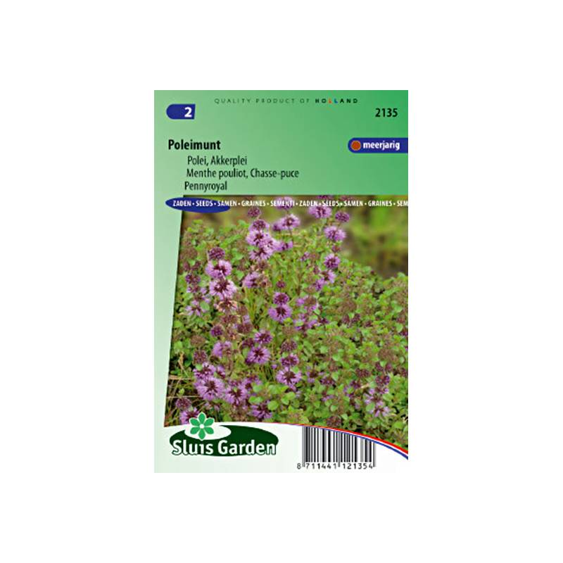 Menthe Pouliot (Graines) - Mentha pulegium le sachet de 1200 graines environ (0,1g)