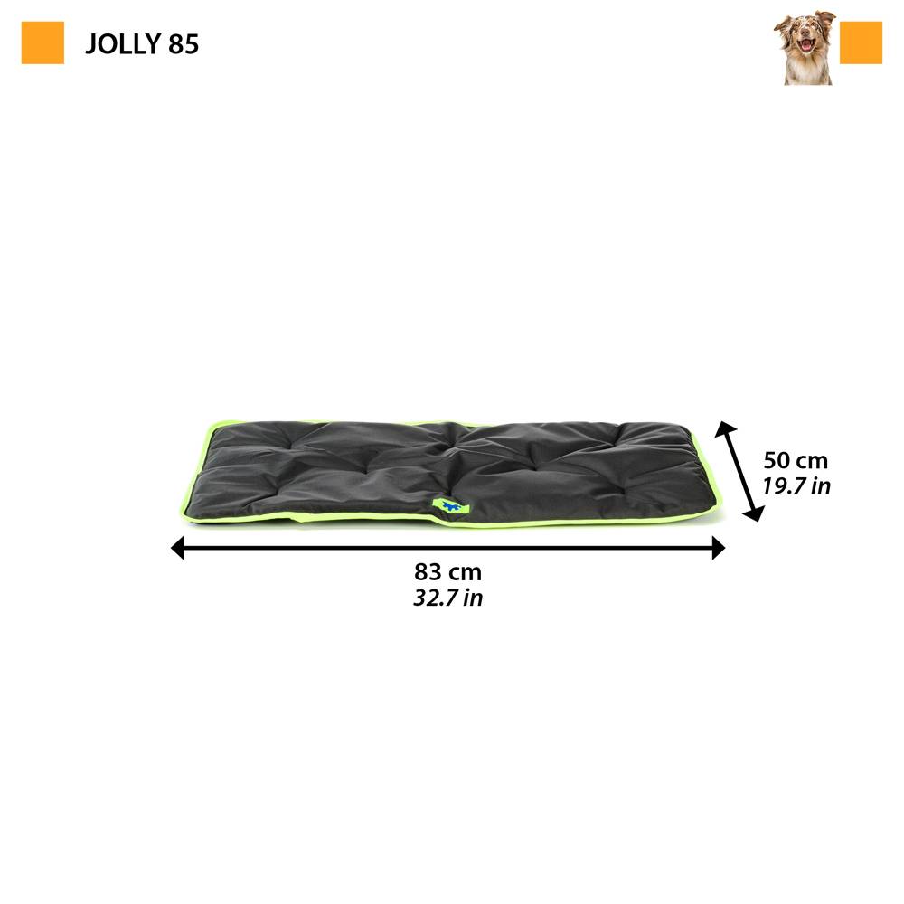 Ferplast - FERPLAST Panier pour Chien Chat - Lit Chien Moyen Lavable - Matelas Chien - Coussin Chien Chat - Imperméable & Anti-Rayures - Tapis Chien pour - Image 2