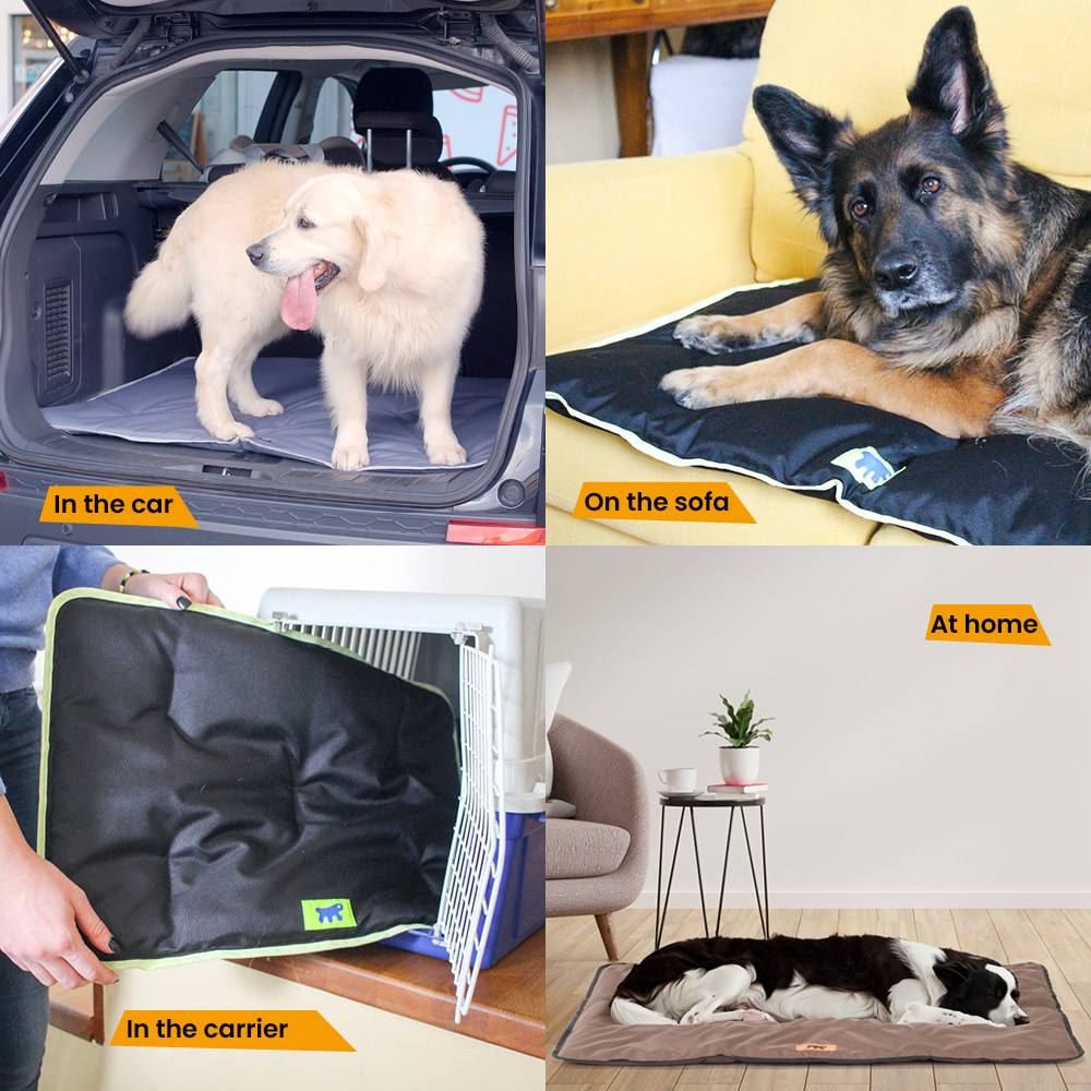 Ferplast - FERPLAST Panier pour Chien Chat - Lit Chien Moyen Lavable - Matelas Chien - Coussin Chien Chat - Imperméable & Anti-Rayures - Tapis Chien pour - Image 5